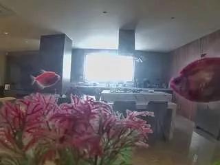 voyeurcam-casa-salsa-fishtank from CamSoda is Freechat