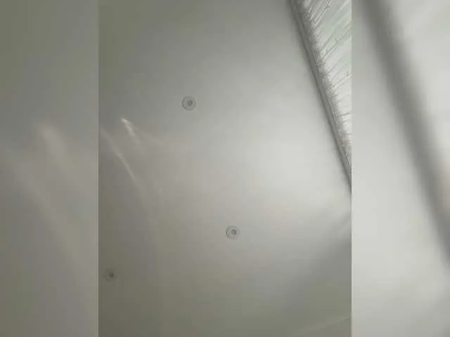 pizzahubb on BongaCams 
