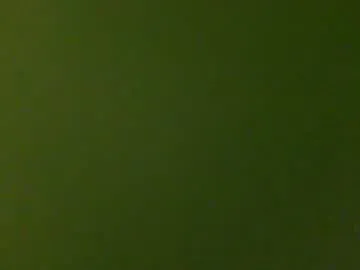 beefjerky4u2c — Beefjerky4u2c's room
