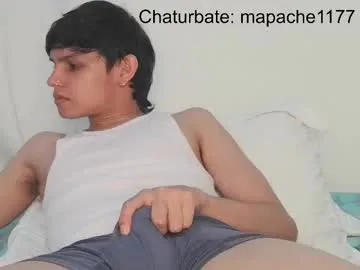 mapache1177 on Chaturbate 