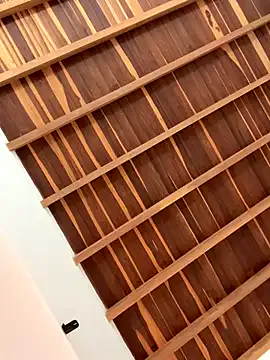 curchez_ — Squirt video by DM for last tipper