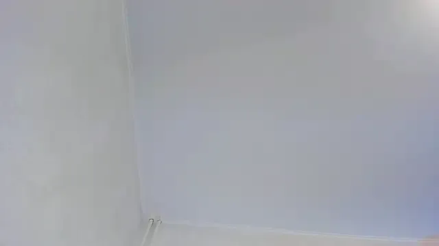 willow_fox on StripChat 